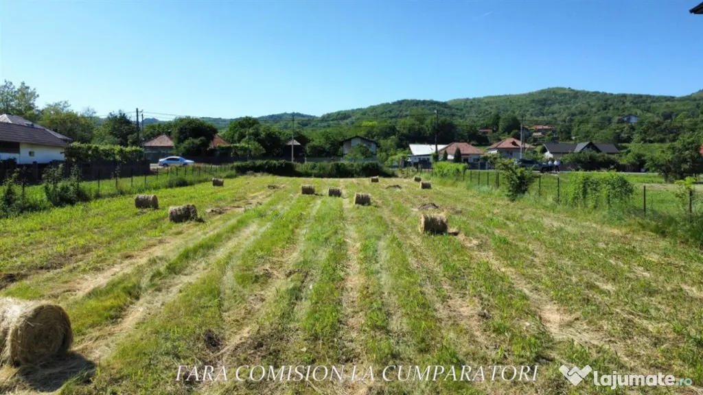 TEREN 1895 MP COPACELU - DESCHIDERE LA DN67 - Ramnicu Valcea (Valcea)