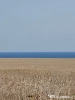 Vanzari terenuri in Tuzla la hotar cu Costinesti