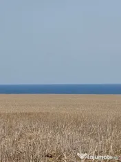 Vanzari terenuri in Tuzla la hotar cu Costinesti 