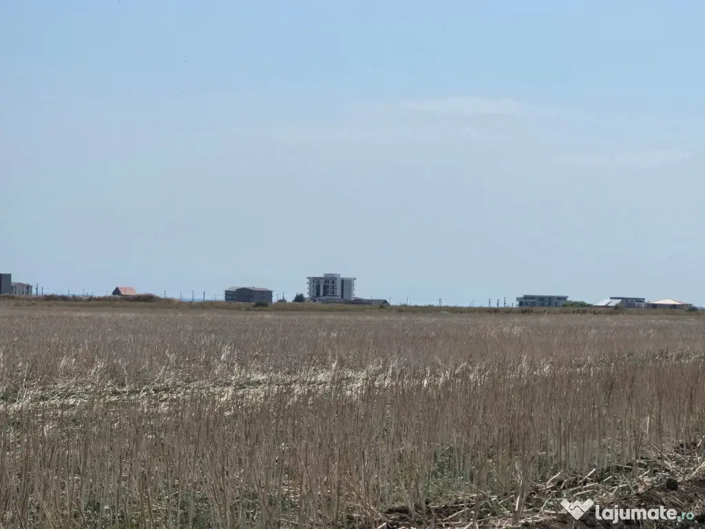 Vanzari terenuri in Tuzla la hotar cu Costinesti - Tuzla (Constanta)