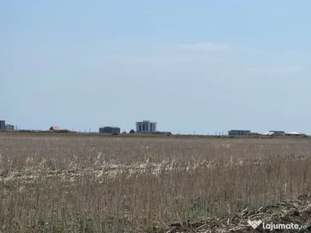 Vanzari terenuri in Tuzla la hotar cu Costinesti - Tuzla (Constanta)
