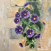 Morning glory! Zorele care iti incanta privirea