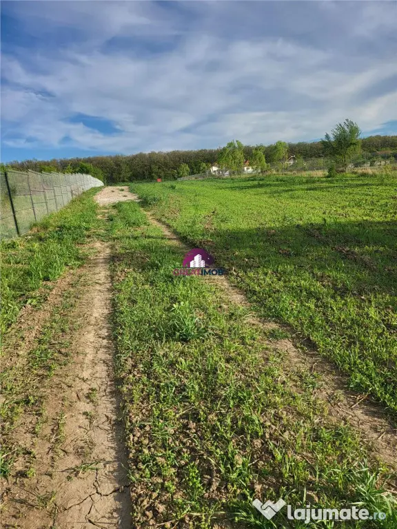 Teren 5600 mp Snagov Lac - Ciofliceni (Bucuresti-Ilfov)