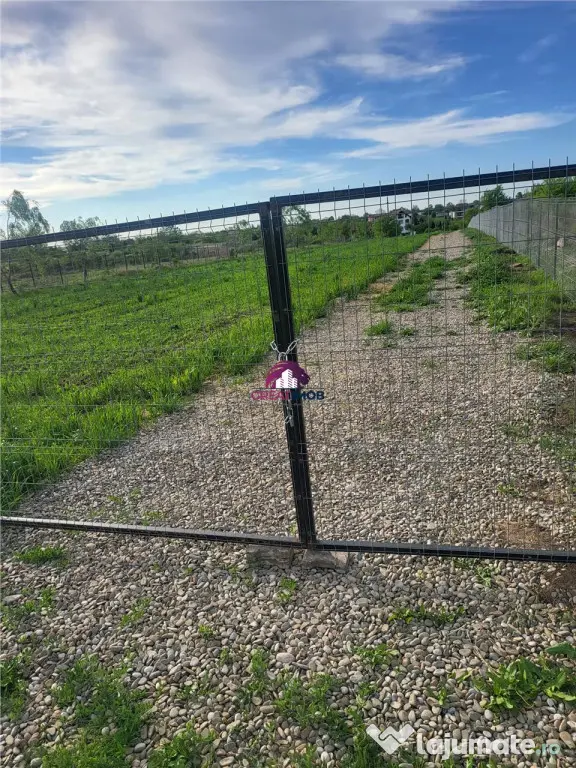 Teren 5600 mp Snagov Lac - Ciofliceni (Bucuresti-Ilfov)