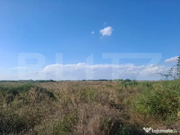 Teren de vanzare, 30000mp, zona Matasaru - Matasaru (Dambovita)