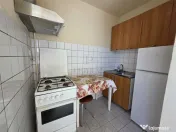 Apartament 1 camera-Elisabetin 