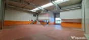 Spatiu Hala Calea Moldovei "Scorpion" 