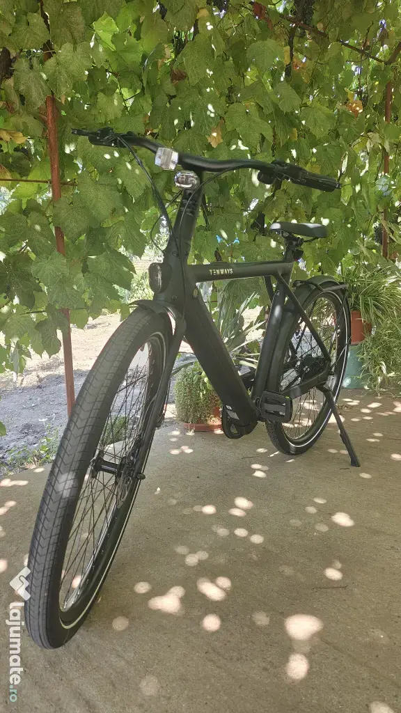 Vând bicicleta electrica Tenways CGO009 2026