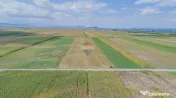 Teren extravilan de vânzare – 14.750 mp – Prejmer, j...