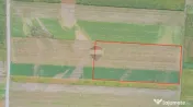 Teren extravilan de vânzare – 14.750 mp – Prejmer, j...