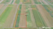Teren extravilan de vânzare – 14.750 mp – Prejmer, j...