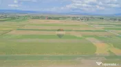 Teren extravilan de vânzare – 14.750 mp – Prejmer, j...
