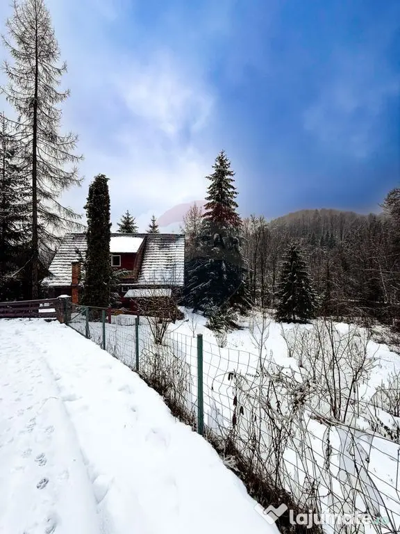 Teren intravilan Moroeni/Pucheni 1794 mp, dublu acces, id... - Moroeni (Dambovita)
