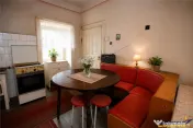 Resedinta istorica,teren privat,pivnita,pod,foisor,detalii o 