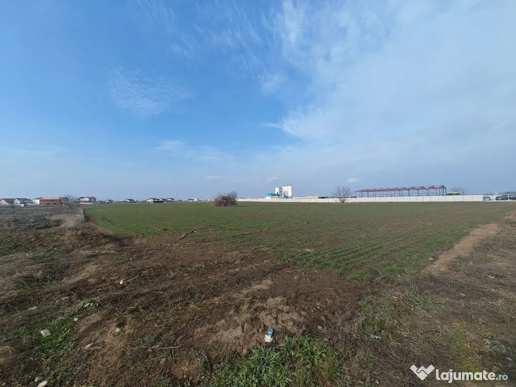 Dragomiresti Valea - Langa Centura, teren 31.200 mp, 28E/mp - Dragomiresti Vale (Bucuresti-Ilfov)