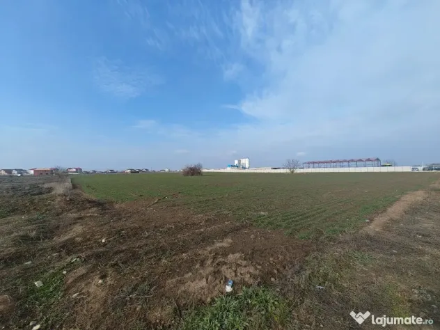 Dragomiresti Valea - Langa Centura, teren 31.200 mp, 28E/mp - Dragomiresti Vale (Bucuresti-Ilfov)