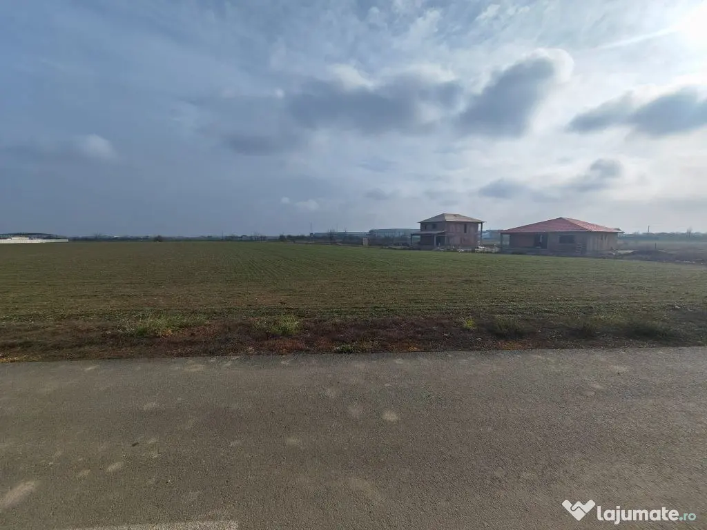 Dragomiresti Valea - Langa Centura, teren 31.200 mp, 28E/mp - Dragomiresti Vale (Bucuresti-Ilfov)