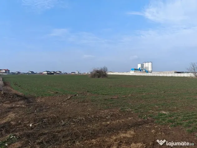 Dragomiresti Valea - Langa Centura, teren 31.200 mp, 28E/mp - Dragomiresti Vale (Bucuresti-Ilfov)