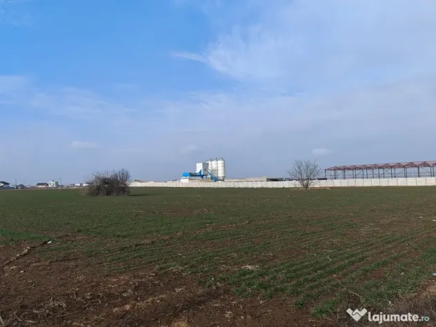 Dragomiresti Valea - Langa Centura, teren 31.200 mp, 28E/mp - Dragomiresti Vale (Bucuresti-Ilfov)