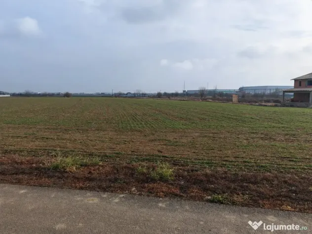 Dragomiresti Valea - Langa Centura, teren 31.200 mp, 28E/mp - Dragomiresti Vale (Bucuresti-Ilfov)