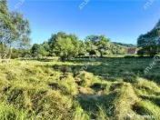 Teren 2420 mp in Fantanele langa Sibiu - oportunitate invest 