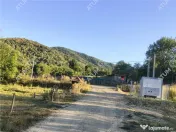 Teren 2420 mp in Fantanele langa Sibiu - oportunitate invest 