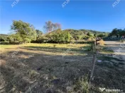 Teren 2420 mp in Fantanele langa Sibiu - oportunitate invest 
