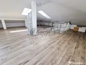 Duplex spatios in cartierul Borhanci