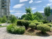 2 camere Aviației decomandat, centrală, et. 2, an 2020 