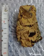 Calcopirita pirita cu limonit 8 cm.