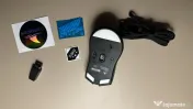 Mouse Darmoshark N3 Tri-Mode