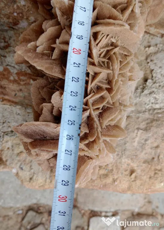 Trandafirul desertului Desert Rose roca piatra L 30 cm. H 15 cm.