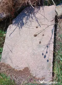 Bloc lespede din marmura roz 1 m. lung 10 cm. gros 