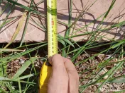 Bloc lespede din marmura roz 1 m. lung 10 cm. gros