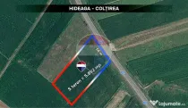 Teren pentru investitie