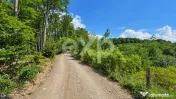 Teren de 4000 mp cu potențial 