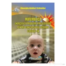 Matematica, clasele 1-4. Exercitii si probleme pregatitoare pentru concursurile scolare - Gh. Adalbert Schneider