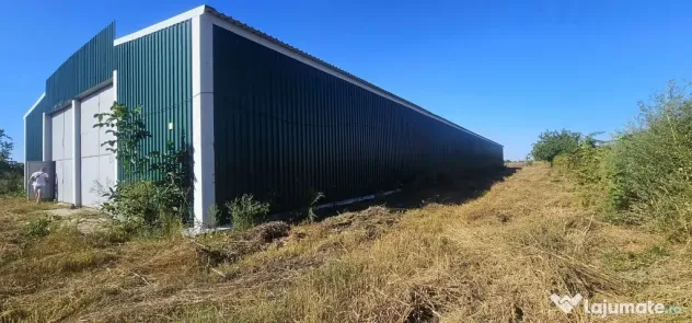 Hala 1.533 mp cu teren 5.000 mp – Vanatori, zona Maylo - Vanatori (Galati)