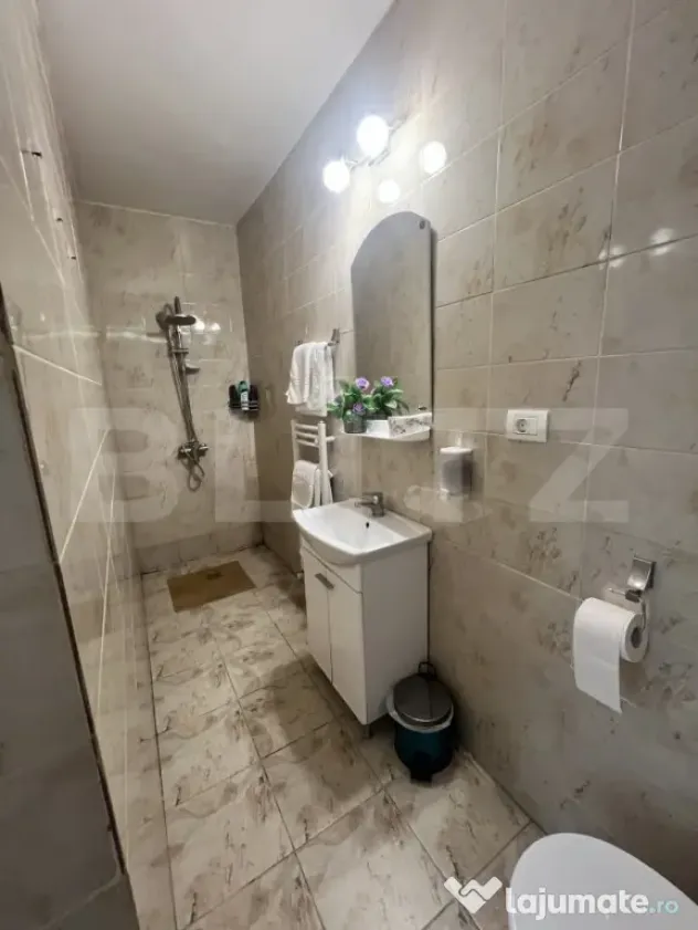 Afacere la cheie: hotel cu 7 apartamente de închiriat - Timisoara (Timis)