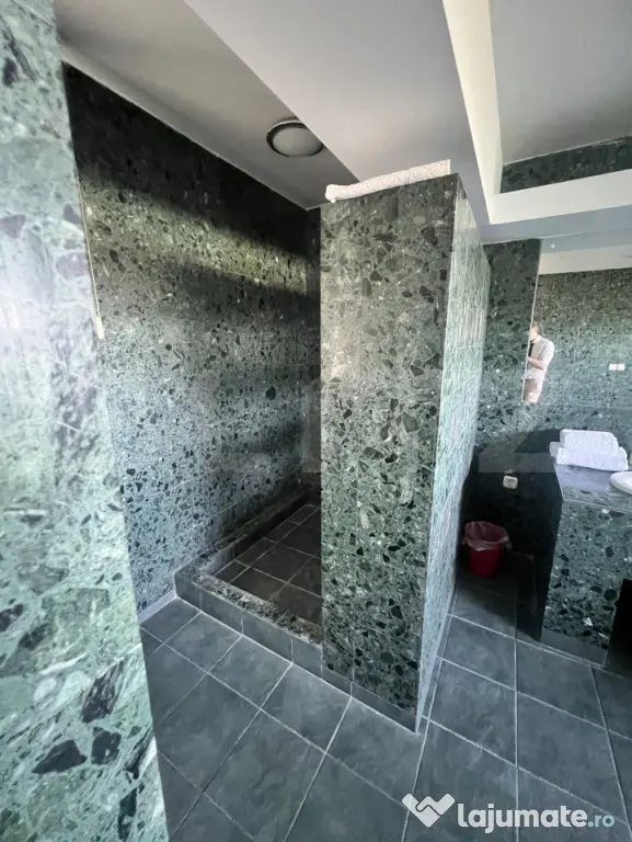 Afacere la cheie: hotel cu 7 apartamente de închiriat - Timisoara (Timis)