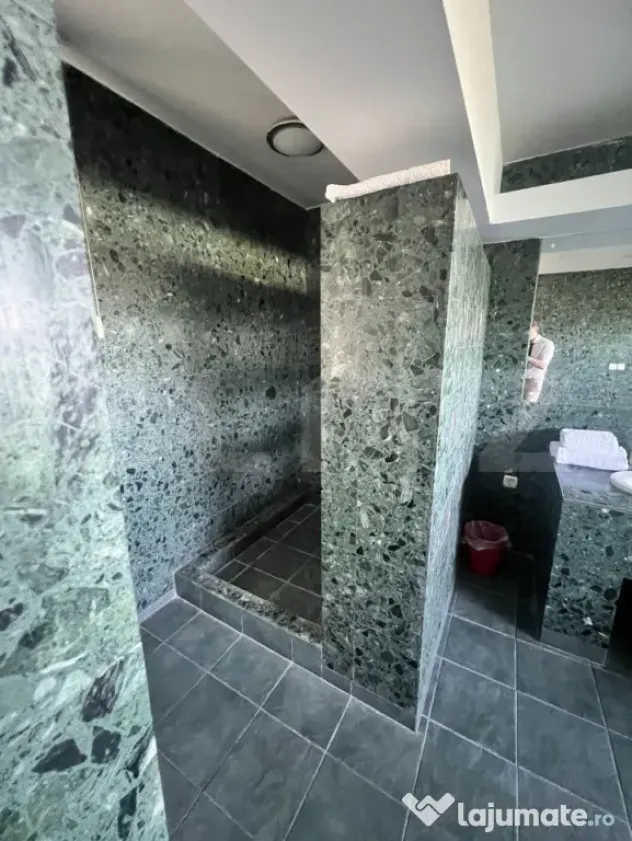Afacere la cheie: hotel cu 7 apartamente de închiriat - Timisoara (Timis)