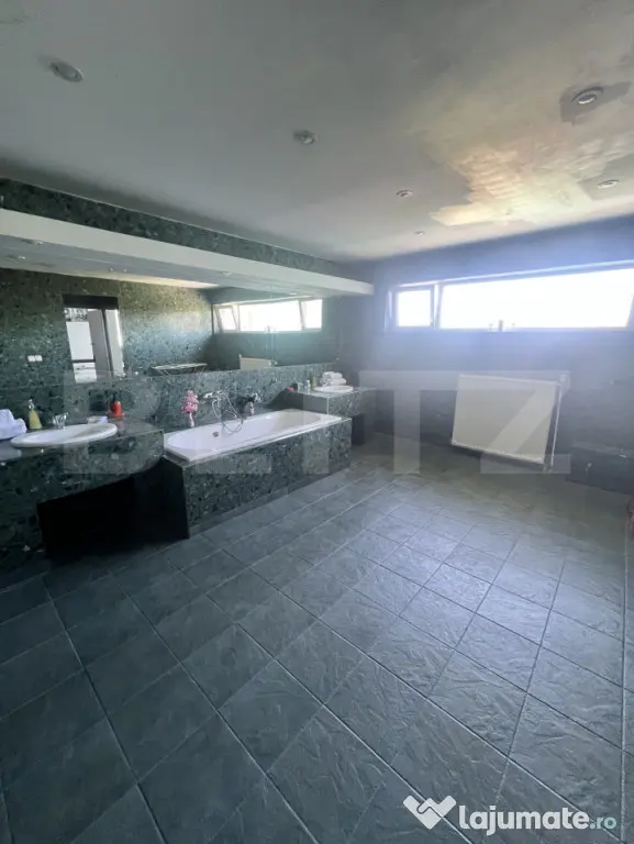 Afacere la cheie: hotel cu 7 apartamente de închiriat - Timisoara (Timis)