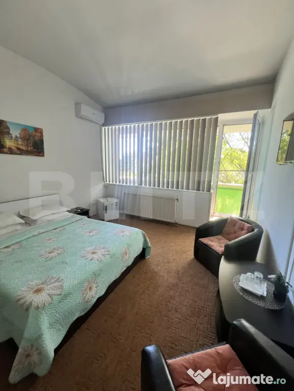 Afacere la cheie: hotel cu 7 apartamente de închiriat - Timisoara (Timis)