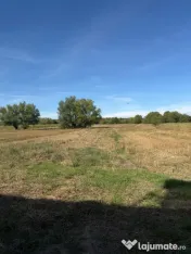 Casa individuala , Bilca, teren 7370mp