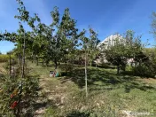 Casa individuala , Bilca, teren 7370mp