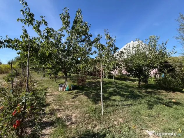 Casa individuala , Bilca, teren 7370mp - Bilca (Suceava)
