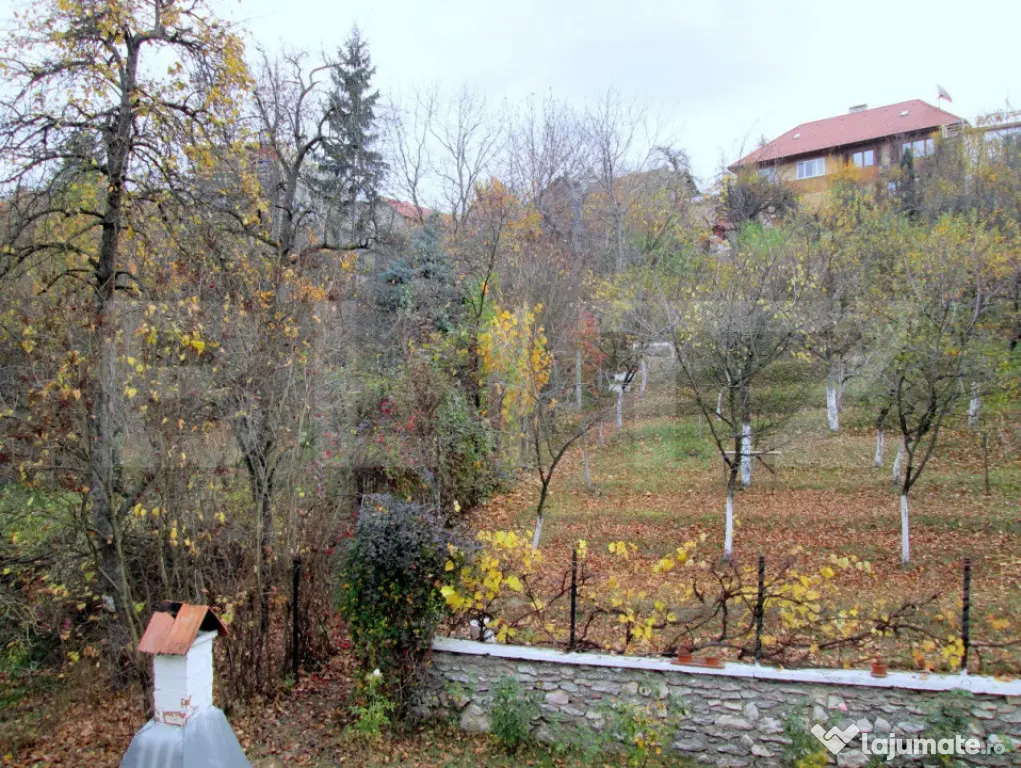 Apartament 2 camere | Balcon | Centrul Vechi | Zona Memorand - Brasov (Brasov)