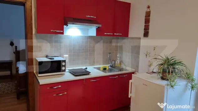Apartament 2 camere | Balcon | Centrul Vechi | Zona Memorand - Brasov (Brasov)