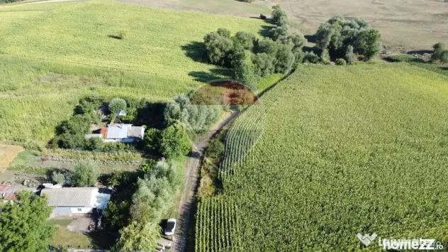 Teren 4,400mp Moara Suceava - Moara (Suceava)