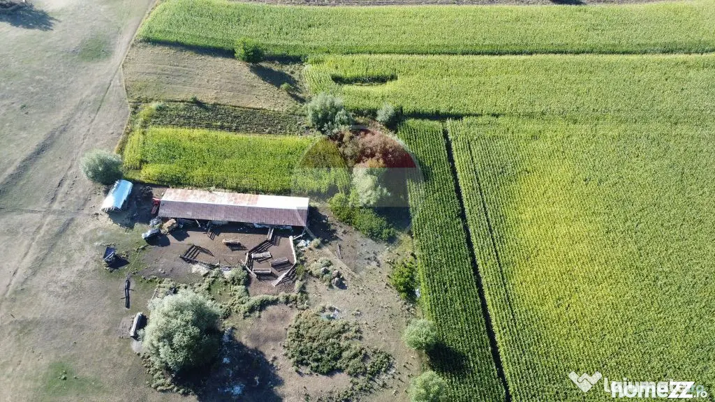 Teren 4,400mp Moara Suceava - Moara (Suceava)